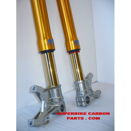 DUCATI 1098, 1198: FORCELLE OHLINS NIX 30 SPECIALI