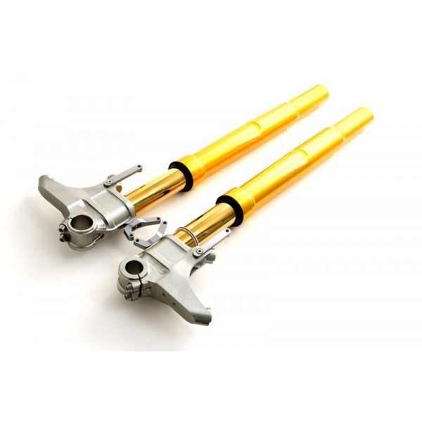 OHLINS FORCELLA RACING FG R&T (PLUG AND PLAY)